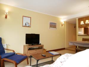 een woonkamer met een bank en een televisie bij Comapedrosa-Vacances Pirinenca in Canillo