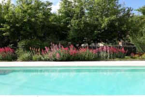 einen Pool vor einem Garten mit rosa Blumen in der Unterkunft DUPLEX COSY Confort PISCINE in Caderousse