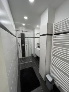 La salle de bains est pourvue d'une douche et de toilettes. dans l'établissement Monterey Apartment Vienna, à Vienne