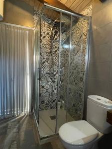 uma casa de banho com um WC e uma cabina de duche em vidro. em Casa rural Vega alta em Madridejos