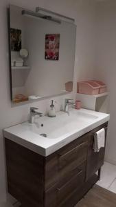 a bathroom with a sink and a mirror at DUPLEX COSY Confort PISCINE in Caderousse