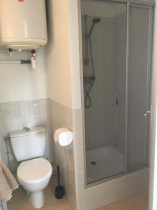 a bathroom with a toilet and a shower at Studio cocooning in Saint Malo