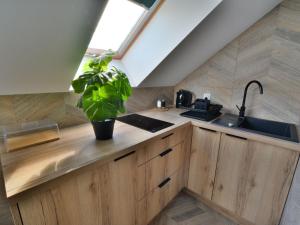 una cocina con armarios de madera y una maceta en Comfortable apartment for 2 persons directly by the sea, Ustronie Morskie, en Ustronie Morskie
