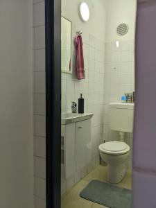 a bathroom with a toilet and a sink and a mirror at Apartman Mia in Slavonski Brod