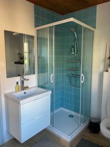 W łazience znajduje się prysznic, umywalka i toaleta. w obiekcie Le Hohwald centre appartement 2 pièces # 102 w mieście Le Hohwald