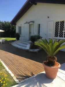 a house with a potted plant in front of it at IL Casale Di Gio in Naples