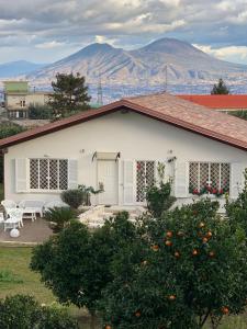 Príroda v okolí of the bed and breakfast