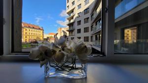 un vaso pieno di fiori bianchi, seduto sul davanzale di una finestra di L&L HOME a Budapest