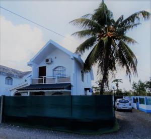 a palm tree in front of a white house at Villa Rose in Pereybere