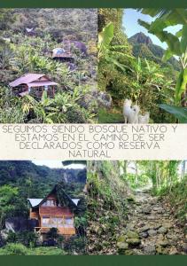 un collage de photos d'une maison et d'une montagne dans l'établissement Monte Mágico, à Támesis