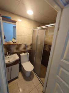 a bathroom with a toilet and a shower and a sink at TWO ROOMS WITH KITCHEN in Istanbul