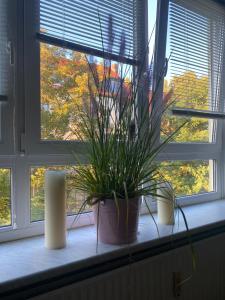 Galeriebild der Unterkunft Central City Privatapartment Relax-Inn, Netflix & Sky TV! in Hannover