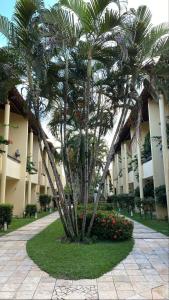 eine Palme vor einem Gebäude in der Unterkunft Apartamento Studio - Solar Pipa in Pipa + 8 Fotos