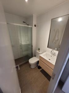a bathroom with a toilet and a sink and a shower at Hermosa casa en Bahía inglesa 3 habitaciones in Bahia Inglesa