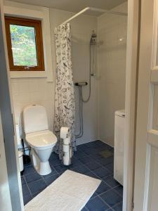 a bathroom with a toilet and a shower at Cozy cabin, neighbour to lake & national park in Tyresö