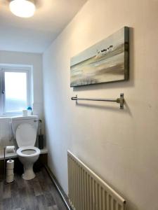 een badkamer met een toilet en een foto aan de muur bij City living maisonette, The Nest in Swansea