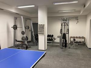 a gym with a ping pong table and several machines at Studio Apartment Michael in Špindlerův Mlýn