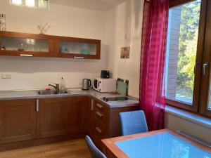 a kitchen with a sink and a table and a window at Studio Apartment Michael in Špindlerův Mlýn