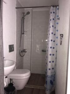 a bathroom with a toilet and a shower curtain at Leman Apart in Bodrum City