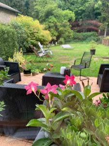 Galeriebild der Unterkunft Le gîte du chateau dans le centre de schirmeck in Schirmeck