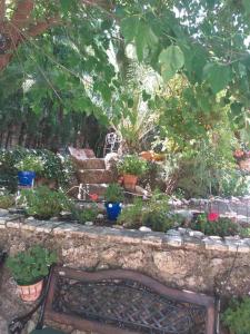 um banco sentado num jardim com vasos de plantas em la Vega Fuente las moreras em La Iruela