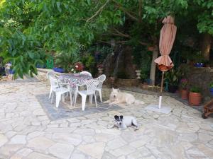 dois cães deitados ao lado de uma mesa e cadeiras e um guarda-sol em la Vega Fuente las moreras em La Iruela