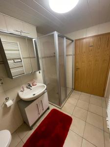 een badkamer met een toilet, een wastafel en een douche bij FEWO 4 Landeskrone Dresden EG in Dresden