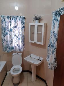 a bathroom with a toilet and a sink at Eden Dunes 69 in Shelly Beach