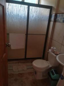 a bathroom with a shower with a toilet and a sink at villa tavago in Cahuita