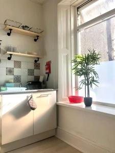 een keuken met een potplant op een vensterbank bij City Studio in Swansea