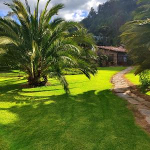 eine Palme auf einem Rasen mit einem Haus im Hintergrund in der Unterkunft Finca San Pedro in Sogamoso