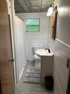 a small bathroom with a toilet and a sink at Quiet Farmhouse IN THE COUNTRY close to major theme parks in Ridge Manor