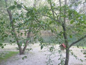 Imagen de la galería de Ovcar banja, en Čačak 46 fotos más