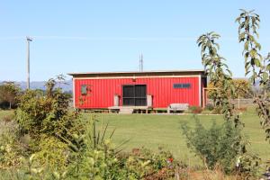 a red barn in the middle of a field at Luxury Container Cabin in Masterton