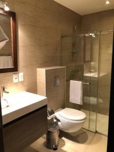 a bathroom with a toilet and a sink and a shower at The beach House- 1Room Apartment at Blue Bay resort in Sint Michiel