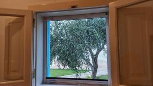 Fotografie z fotogalerie ubytování Villino Tronchetto Bianco v destinaci Mola di Bari