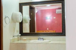 奧夫雷貢城的住宿－HOTEL DEL CENTRO，一间带水槽和镜子的浴室