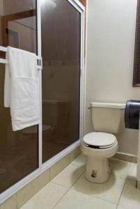 シウダード・オブレゴンにあるHOTEL DEL CENTROのバスルーム(トイレ、ガラス張りのシャワー付)