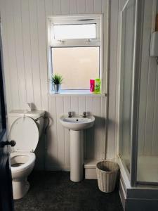 a bathroom with a toilet and a sink and a window at Hillcrest Cottage, comfy flat, trendy Uplands area in Swansea