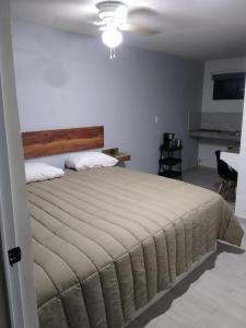 a bedroom with a large bed in a room at APARTAMENTOS AMBASSADOR in Tijuana