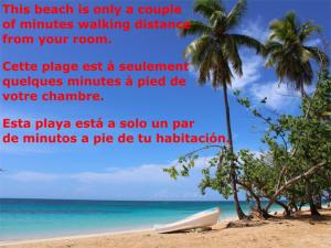 a beach with a palm tree and a boat on the beach w obiekcie Dream Glamping Jungle Bohio w mieście Las Terrenas