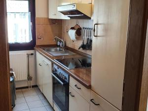 uma pequena cozinha com um lavatório e um frigorífico em Holiday home in Willingen in beautiful hilly surroundings em Stryck