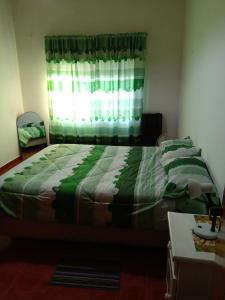 a bedroom with a bed with a green blanket and a window at PUNTO FIJO in Zárate