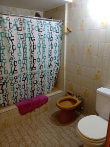 a bathroom with a toilet and a shower curtain at PUNTO FIJO in Zárate