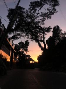 a silhouette of a tree with the sunset in the background at Sherpas Enclave in Kalimpong
