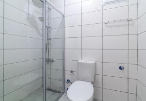 伊斯坦堡的住宿－Lovely and Cent，白色的浴室设有卫生间和淋浴。