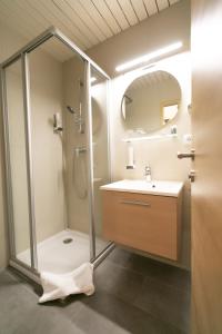 a bathroom with a shower and a sink at Das Reinisch Just Rooms in Schwechat