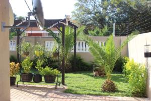 um jardim com plantas e um banco num quintal em Royal relax guest house em Palapye