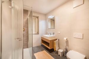 a bathroom with a toilet sink and a shower at Parigger Apt Lavendel in Racines