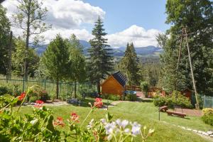 un jardin avec une cabane en bois en arrière-plan dans l'établissement Witkówka WILD Luxury Apartments - Sauna & SPA, à Witów